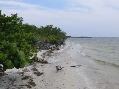 Coastal shoreline at De Soto National Memorial. Photo via the City of Bradenton.