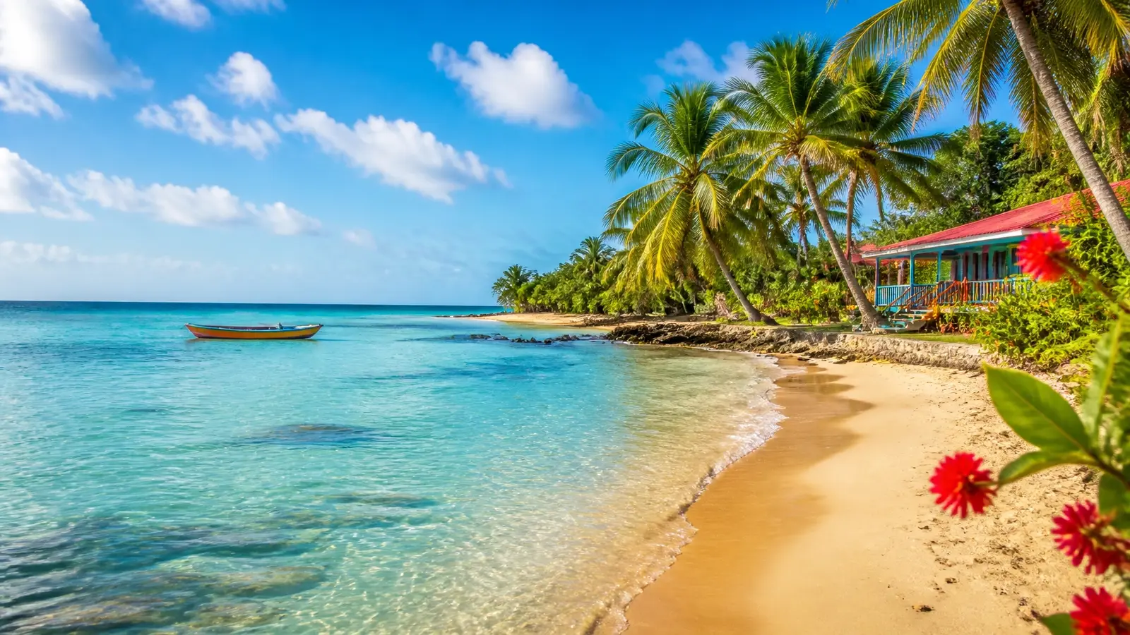 Turquoise Caribbean water meeting a golden tropical beach beneath palm trees
