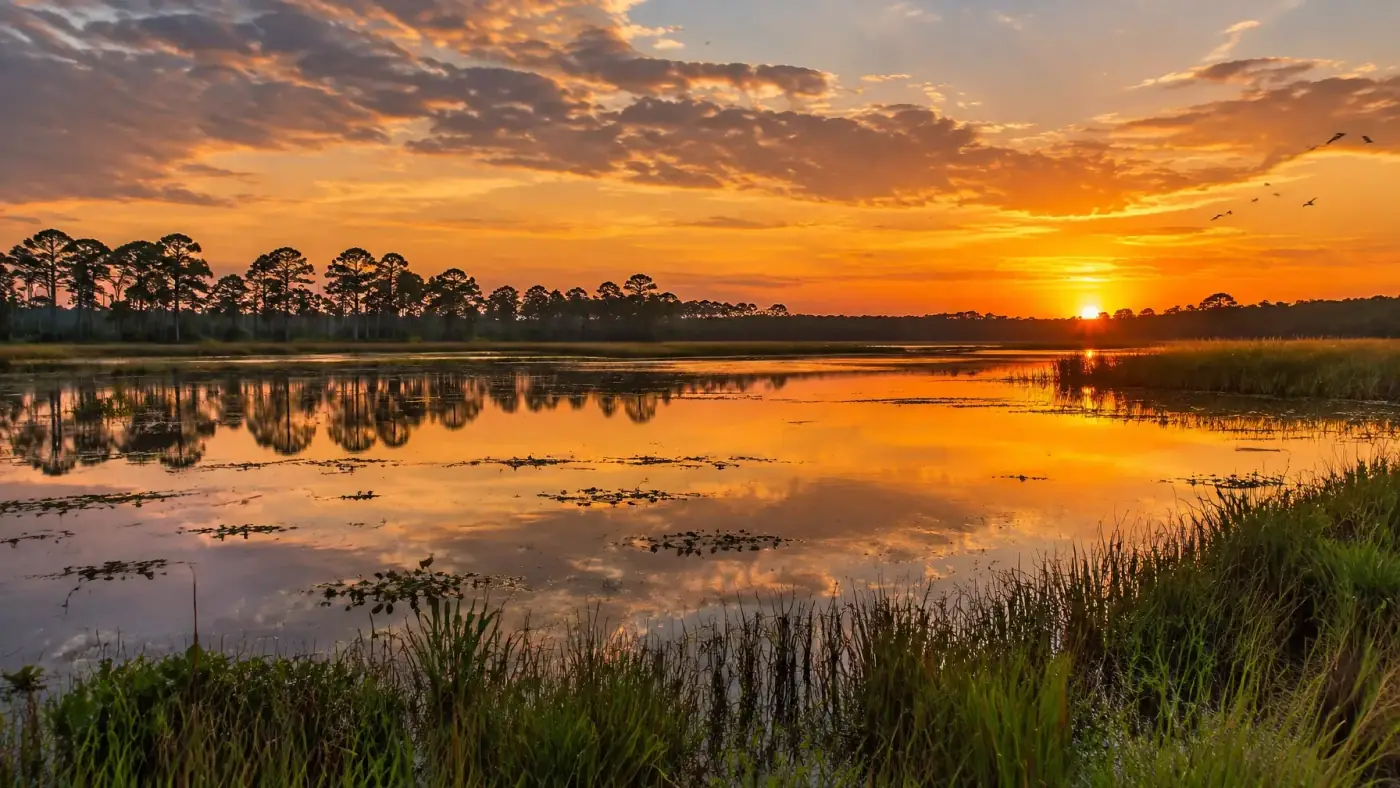 AI-generated calm Florida wetland reflecting a golden sunset. AI-generated visual for illustrative purposes.